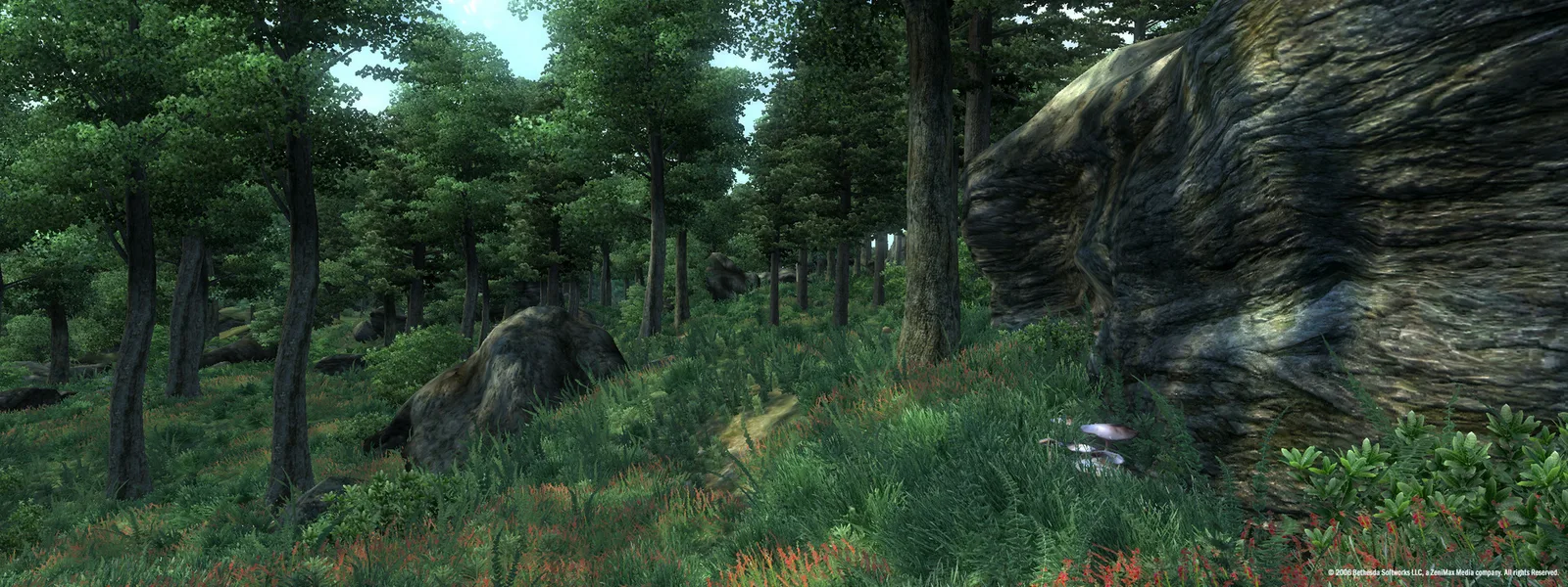 Кадр из The Elder Scrolls IV: Oblivion